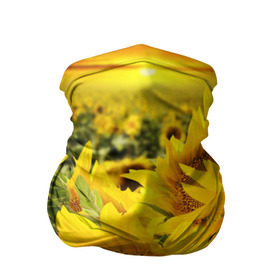 Бандана-труба 3D с принтом Подсолнухи в Новосибирске, 100% полиэстер, ткань с особыми свойствами — Activecool | плотность 150‒180 г/м2; хорошо тянется, но сохраняет форму | желтый | солнце | цветок | яркий