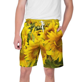 Мужские шорты 3D с принтом Подсолнухи в Новосибирске,  полиэстер 100% | прямой крой, два кармана без застежек по бокам. Мягкая трикотажная резинка на поясе, внутри которой широкие завязки. Длина чуть выше колен | Тематика изображения на принте: желтый | солнце | цветок | яркий