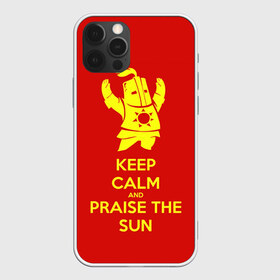 Чехол для iPhone 12 Pro Max с принтом Keep calm and praise the sun в Новосибирске, Силикон |  | dark souls