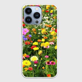 Чехол для iPhone 13 Pro с принтом Полевые цветы 1 в Новосибирске,  |  | поле | полевые цветы | цветы