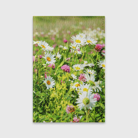 Обложка для паспорта матовая кожа с принтом Полевые цветы 3 в Новосибирске, натуральная матовая кожа | размер 19,3 х 13,7 см; прозрачные пластиковые крепления | поле | полевые цветы | цветы