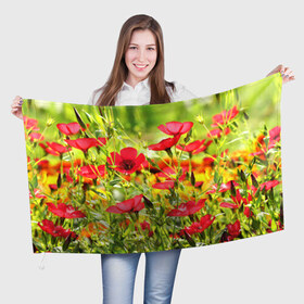 Флаг 3D с принтом Полевые цветы 5 в Новосибирске, 100% полиэстер | плотность ткани — 95 г/м2, размер — 67 х 109 см. Принт наносится с одной стороны | поле | полевые цветы | цветы