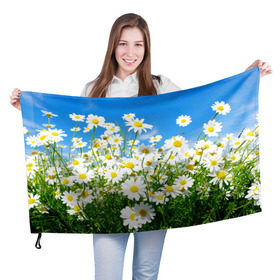 Флаг 3D с принтом Полевые цветы 7 в Новосибирске, 100% полиэстер | плотность ткани — 95 г/м2, размер — 67 х 109 см. Принт наносится с одной стороны | поле | полевые цветы | цветы