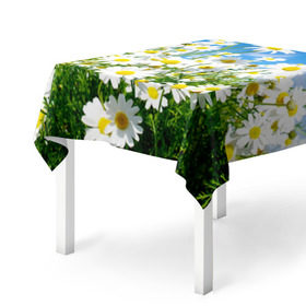 Скатерть 3D с принтом Полевые цветы 7 в Новосибирске, 100% полиэстер (ткань не мнется и не растягивается) | Размер: 150*150 см | поле | полевые цветы | цветы