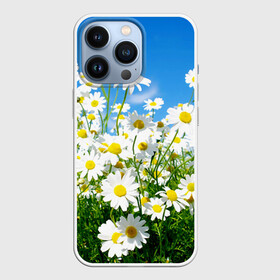 Чехол для iPhone 13 Pro с принтом Полевые цветы 7 в Новосибирске,  |  | поле | полевые цветы | цветы