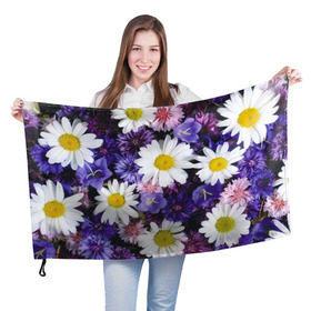 Флаг 3D с принтом Полевые цветы 8 в Новосибирске, 100% полиэстер | плотность ткани — 95 г/м2, размер — 67 х 109 см. Принт наносится с одной стороны | поле | полевые цветы | цветы