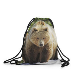 Рюкзак-мешок 3D с принтом Медведи в Новосибирске, 100% полиэстер | плотность ткани — 200 г/м2, размер — 35 х 45 см; лямки — толстые шнурки, застежка на шнуровке, без карманов и подкладки | звери | медведь | мишка | природа
