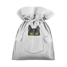 Подарочный 3D мешок с принтом Кот в кармане в Новосибирске, 100% полиэстер | Размер: 29*39 см | Тематика изображения на принте: 