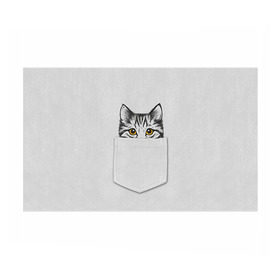 Бумага для упаковки 3D с принтом Кот в кармане 2 в Новосибирске, пластик и полированная сталь | круглая форма, металлическое крепление в виде кольца | Тематика изображения на принте: animals | cat | kitty | животные | кот | котик