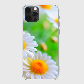 Чехол для iPhone 12 Pro Max с принтом Ромашки в Новосибирске, Силикон |  | Тематика изображения на принте: фото | цветы