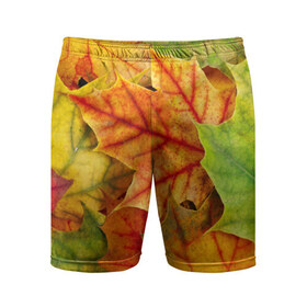 Мужские шорты 3D спортивные с принтом Краски осени в Новосибирске,  |  | листва | листья | осень