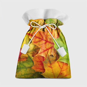 Подарочный 3D мешок с принтом Краски осени в Новосибирске, 100% полиэстер | Размер: 29*39 см | листва | листья | осень