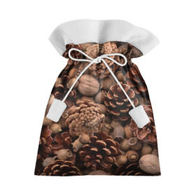 Подарочный 3D мешок с принтом Шишки и орешки в Новосибирске, 100% полиэстер | Размер: 29*39 см | дуб | ёлка | ель | жёлудь | иголки | кедр | лес | орех | орешки | осень | сосна | шишки