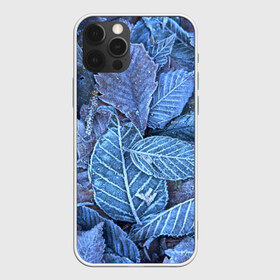 Чехол для iPhone 12 Pro Max с принтом Застывшие листья в Новосибирске, Силикон |  | иней | мороз | осень | холод