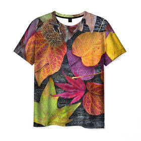 Мужская футболка 3D с принтом Дары осени в Новосибирске, 100% полиэфир | прямой крой, круглый вырез горловины, длина до линии бедер | Тематика изображения на принте: жёлтый | золотой | красный | листва | листья | наряд | осень
