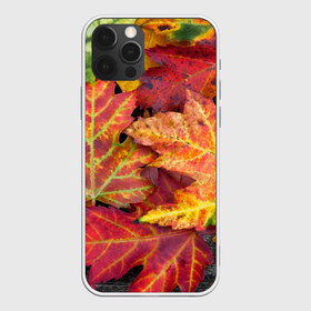 Чехол для iPhone 12 Pro Max с принтом Осенняя пора в Новосибирске, Силикон |  | жёлтый | красный | листва | листья | осень