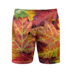 Мужские шорты 3D спортивные с принтом Осенняя пора в Новосибирске,  |  | жёлтый | красный | листва | листья | осень