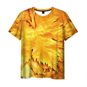 Мужская футболка 3D с принтом Золотая осень в Новосибирске, 100% полиэфир | прямой крой, круглый вырез горловины, длина до линии бедер | жёлтый | золотой | клён | красота | листва | листья | наряд | осень | осина | покров | природа