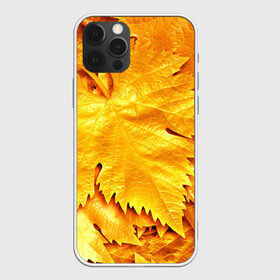 Чехол для iPhone 12 Pro Max с принтом Золотая осень в Новосибирске, Силикон |  | жёлтый | золотой | клён | красота | листва | листья | наряд | осень | осина | покров | природа