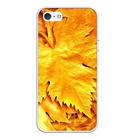 Чехол для iPhone 5/5S матовый с принтом Золотая осень в Новосибирске, Силикон | Область печати: задняя сторона чехла, без боковых панелей | жёлтый | золотой | клён | красота | листва | листья | наряд | осень | осина | покров | природа