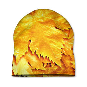 Шапка 3D с принтом Золотая осень в Новосибирске, 100% полиэстер | универсальный размер, печать по всей поверхности изделия | жёлтый | золотой | клён | красота | листва | листья | наряд | осень | осина | покров | природа