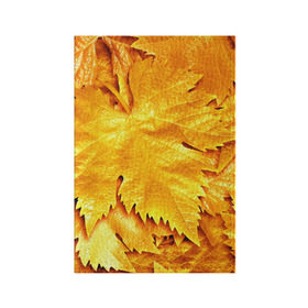 Обложка для паспорта матовая кожа с принтом Золотая осень в Новосибирске, натуральная матовая кожа | размер 19,3 х 13,7 см; прозрачные пластиковые крепления | жёлтый | золотой | клён | красота | листва | листья | наряд | осень | осина | покров | природа