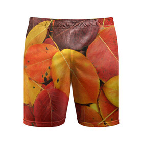 Мужские шорты 3D спортивные с принтом Осенний покров в Новосибирске,  |  | жёлтый | золотой | красный | листва | листья | осень
