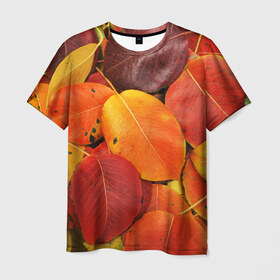 Мужская футболка 3D с принтом Осенний покров в Новосибирске, 100% полиэфир | прямой крой, круглый вырез горловины, длина до линии бедер | жёлтый | золотой | красный | листва | листья | осень