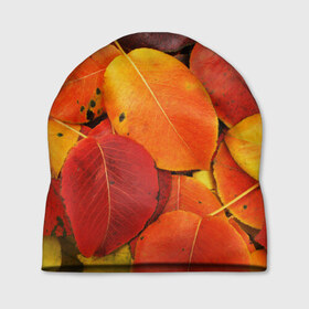 Шапка 3D с принтом Осенний покров в Новосибирске, 100% полиэстер | универсальный размер, печать по всей поверхности изделия | Тематика изображения на принте: жёлтый | золотой | красный | листва | листья | осень