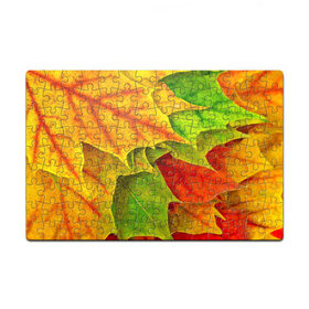 Пазл магнитный 126 элементов с принтом Осенний наряд в Новосибирске, полимерный материал с магнитным слоем | 126 деталей, размер изделия —  180*270 мм | жёлтый | зелёный | красный | листва | листья | оранжевый