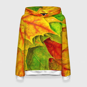 Женская толстовка 3D с принтом Осенний наряд в Новосибирске, 100% полиэстер  | двухслойный капюшон со шнурком для регулировки, мягкие манжеты на рукавах и по низу толстовки, спереди карман-кенгуру с мягким внутренним слоем. | жёлтый | зелёный | красный | листва | листья | оранжевый
