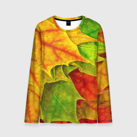 Мужской лонгслив 3D с принтом Осенний наряд в Новосибирске, 100% полиэстер | длинные рукава, круглый вырез горловины, полуприлегающий силуэт | жёлтый | зелёный | красный | листва | листья | оранжевый