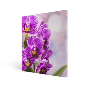 Холст квадратный с принтом Божественная орхидея в Новосибирске, 100% ПВХ |  | Тематика изображения на принте: 8 марта | букет | весна | красота | куст | лето | орхидея | подарок | сиреневый цвет | цветок | шикарный цветочек