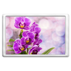 Магнит 45*70 с принтом Божественная орхидея в Новосибирске, Пластик | Размер: 78*52 мм; Размер печати: 70*45 | 8 марта | букет | весна | красота | куст | лето | орхидея | подарок | сиреневый цвет | цветок | шикарный цветочек