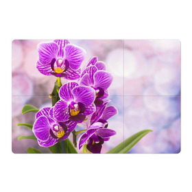 Магнитный плакат 3Х2 с принтом Божественная орхидея в Новосибирске, Полимерный материал с магнитным слоем | 6 деталей размером 9*9 см | Тематика изображения на принте: 8 марта | букет | весна | красота | куст | лето | орхидея | подарок | сиреневый цвет | цветок | шикарный цветочек