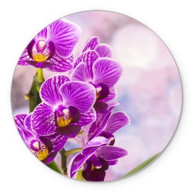 Коврик круглый с принтом Божественная орхидея в Новосибирске, резина и полиэстер | круглая форма, изображение наносится на всю лицевую часть | Тематика изображения на принте: 8 марта | букет | весна | красота | куст | лето | орхидея | подарок | сиреневый цвет | цветок | шикарный цветочек