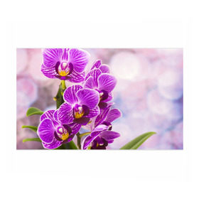 Бумага для упаковки 3D с принтом Божественная орхидея в Новосибирске, пластик и полированная сталь | круглая форма, металлическое крепление в виде кольца | Тематика изображения на принте: 8 марта | букет | весна | красота | куст | лето | орхидея | подарок | сиреневый цвет | цветок | шикарный цветочек