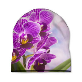 Шапка 3D с принтом Божественная орхидея в Новосибирске, 100% полиэстер | универсальный размер, печать по всей поверхности изделия | 8 марта | букет | весна | красота | куст | лето | орхидея | подарок | сиреневый цвет | цветок | шикарный цветочек