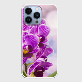 Чехол для iPhone 13 Pro с принтом Божественная орхидея в Новосибирске,  |  | 8 марта | букет | весна | красота | куст | лето | орхидея | подарок | сиреневый цвет | цветок | шикарный цветочек