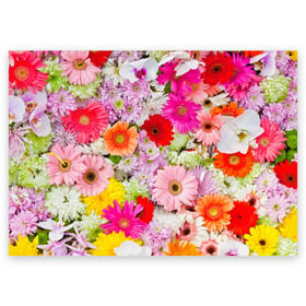 Поздравительная открытка с принтом Обилие цветов в Новосибирске, 100% бумага | плотность бумаги 280 г/м2, матовая, на обратной стороне линовка и место для марки
 | 8 марта | букет | георгина | изобилие | красота | куст | лето | обилие | петунья | подснежник | полевые | разные цветы | роза | ромашка | тюльпан | хризантема | цветочек | цветы