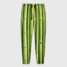 Мужские брюки 3D с принтом Бамбук в Новосибирске, 100% полиэстер | манжеты по низу, эластичный пояс регулируется шнурком, по бокам два кармана без застежек, внутренняя часть кармана из мелкой сетки | бамбук | дерево | джунгли | кустарник | надёжность | прочность | стена