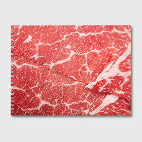 Альбом для рисования с принтом Кусок мяса в Новосибирске, 100% бумага
 | матовая бумага, плотность 200 мг. | Тематика изображения на принте: баранина | бекон | белок | говядина | еда | жилы | кровь | кусок | мощь | мышцы | мясо | нарезка | отбивная | пища | протеин | свинина | сила | телятина | туша | филе | хрящи