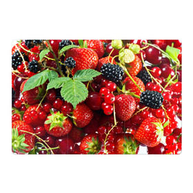 Магнитный плакат 3Х2 с принтом Любимые ягоды в Новосибирске, Полимерный материал с магнитным слоем | 6 деталей размером 9*9 см | Тематика изображения на принте: вкусно | голубика | дача | деревня | ежевика | зелень | клубника | малина | огород | полезно | сад | смородина | сок | фрукты | черника | шиповник | ягоды