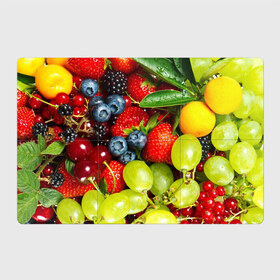 Магнитный плакат 3Х2 с принтом Вкусные ягоды в Новосибирске, Полимерный материал с магнитным слоем | 6 деталей размером 9*9 см | виноград | вкусно | голубика | дача | деревня | ежевика | клубника | малина | огород | полезно | рябина | сад | смородина | сок | фрукты | черника | ягоды
