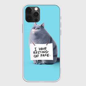 Чехол для iPhone 12 Pro Max с принтом Домашняя киса в Новосибирске, Силикон |  | animal | cat | pets | the secret life of pets | домашние животные | животные | кот | котенок | котик | тайная жизнь домашних животных