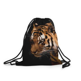 Рюкзак-мешок 3D с принтом Тигр в Новосибирске, 100% полиэстер | плотность ткани — 200 г/м2, размер — 35 х 45 см; лямки — толстые шнурки, застежка на шнуровке, без карманов и подкладки | полосы | хищник