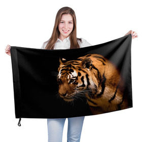 Флаг 3D с принтом Тигр в Новосибирске, 100% полиэстер | плотность ткани — 95 г/м2, размер — 67 х 109 см. Принт наносится с одной стороны | полосы | хищник