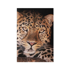 Обложка для паспорта матовая кожа с принтом Леопард в Новосибирске, натуральная матовая кожа | размер 19,3 х 13,7 см; прозрачные пластиковые крепления | гепард | грация | дикая кошка | добыча | животные | леопард | ловкость | опасность | пятна | хищник | ягуар
