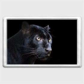 Магнит 45*70 с принтом Пантера в Новосибирске, Пластик | Размер: 78*52 мм; Размер печати: 70*45 | дикая кошка | добыча | животные | ловкость | охота | пантера | сила | скорость | смекалка | хитрость | хищник