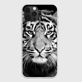 Чехол для iPhone 12 Pro с принтом Красавец тигр в Новосибирске, силикон | область печати: задняя сторона чехла, без боковых панелей | джунгли | дикая кошка | животные | зверь | король | кровь | мясо | опасность | охотник | тигр | хищник | царь | цирк